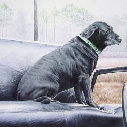 A watercolor painting of a Black Lab on a Jeep's seat.