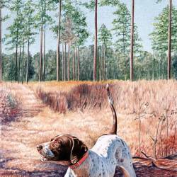 A watercolor painting of a pointer on point in South Georgia.
