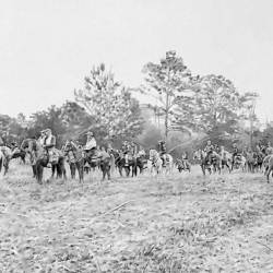 A panorama graphite drawing of horses and riders at a Bird Dog Field Trial.