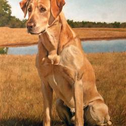 An oil painting of a Yellow Lab National Champion Retriever.