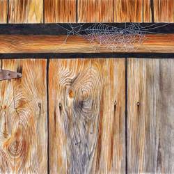 A watercolor of an old shed door with cobwebs.