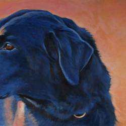 An oil painting of a Black Lab Retriever.
