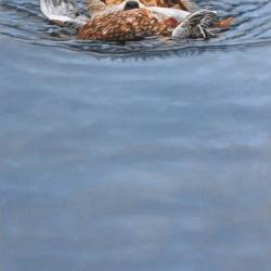An oil painting of a Jack Russell retrieving a duck in a pond.