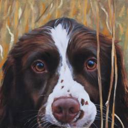 An oil painting of a Springer Spaniel in the field.
