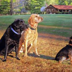 An oil painting of a Black Lab, Yellow Lab and Border Terrier in the front yard of their home.