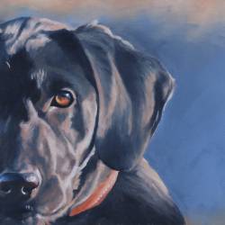 An original oil painting of a Black Lab puppy.