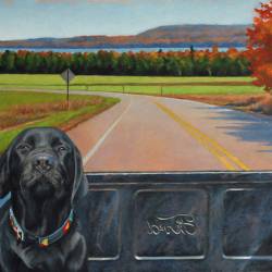 A Black Lab riding around a Northern Michigan county.