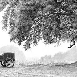 A graphite drawing of a wagon and rider resting under a Live Oak in Georgia.