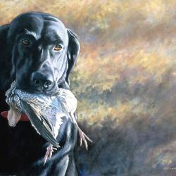An acrylic painting of a black lab with a quail in its mouth.