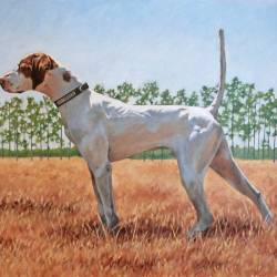 An oil painting of an English Pointer on point.
