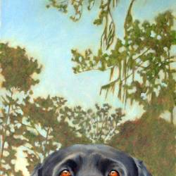 Oil Painting of a Black Lab under the moon in Georgia called "Moonpie"