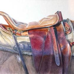 A watercolor painting of a saddle on a horse.