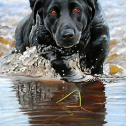 An oil painting of a Black Lab named River going through the water.