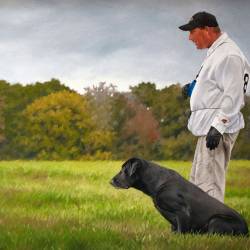 Oil Painting of a handler and his Field Trial Black Lab on the line ready to retrieve.