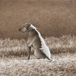A watercolor painting and pencil of a Yellow Lab..