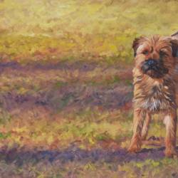 An oil painting of a Border Terrier.