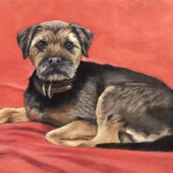 An oil painting portrait of a Border Terrier named Fergus.