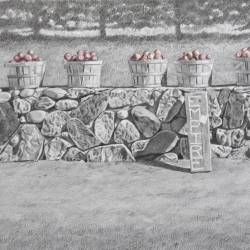 A graphite drawing of six baskets of apples on Old Mission Peninsula.