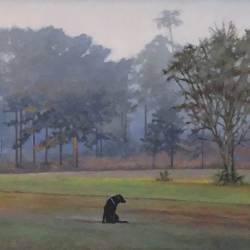 A Black Labrador Retriever on a South Georgia front yard.