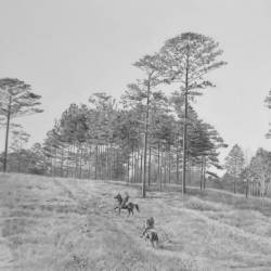 A graphite drawing of two handlers training a Pointer Bird Dog in the south.