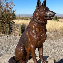 Loyalty - Life Sized German Shepherd Bronze Sculpture