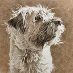 Border Terrier Graphite Sepia - "Teddy's Profile" A graphite and sepia watercolor of a Border Terrier.