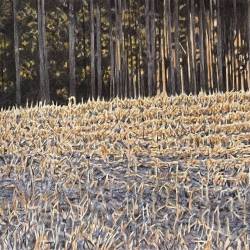 A watercolor of deer in a cornfield.