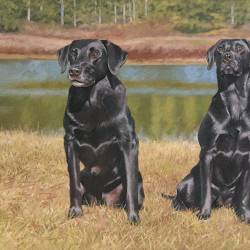 An oil painting of two Black Labs next to a pond in Georgia.
