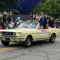 1966 Mustand and State Rep at the Cherry Festival Parade