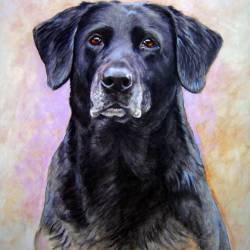 An acrylic painting of a Black Lab Field Trial Champion