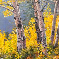 A Painting of Aspens in the Fall by Kim Diment