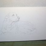 First progress First outline of the sketch for Thomasville Yellow
