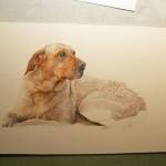 Fifth progress photo of the Yellow Lab painting